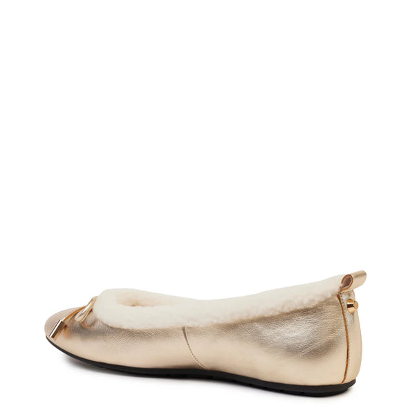Bambi Ballet - Gold Calf