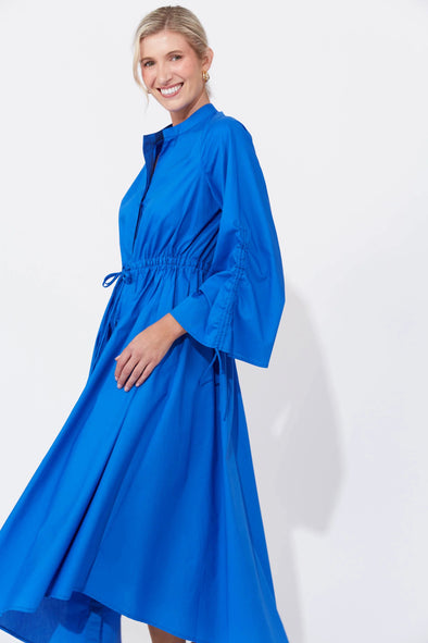 Pheonix shirt dress