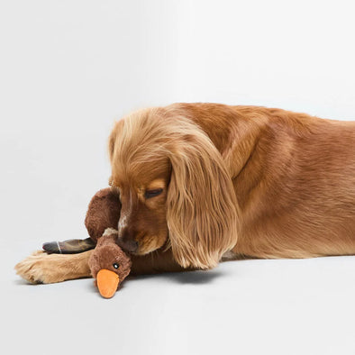 Flying Duck Dog Toy