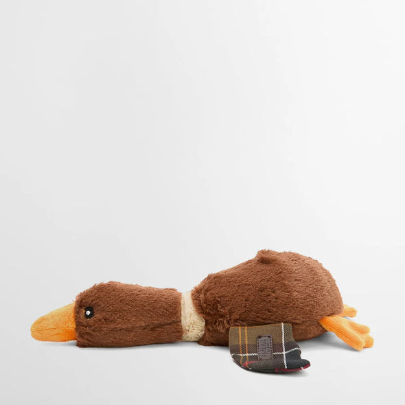 Flying Duck Dog Toy