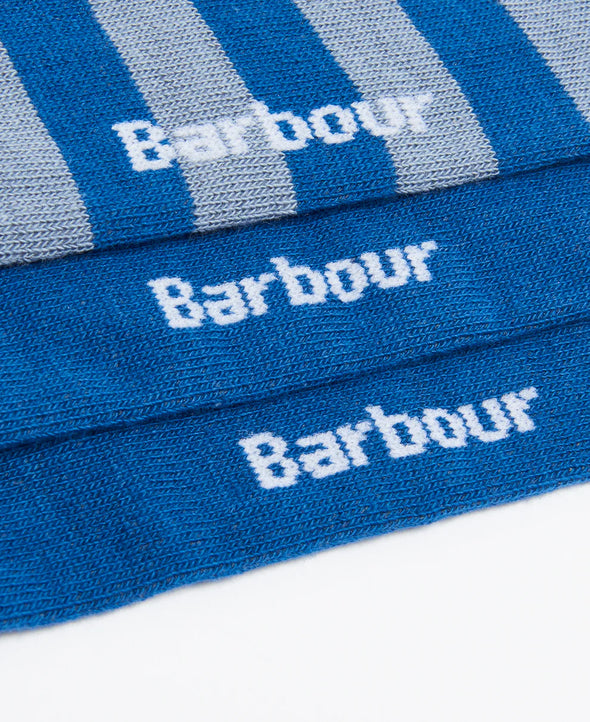 Beagle Dog Sock Set-Blue