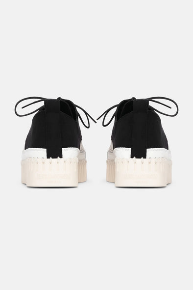 T4094 Versatile Tulip Black