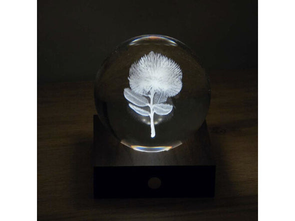 Pohutukawa - 3D Laser Engraved Light