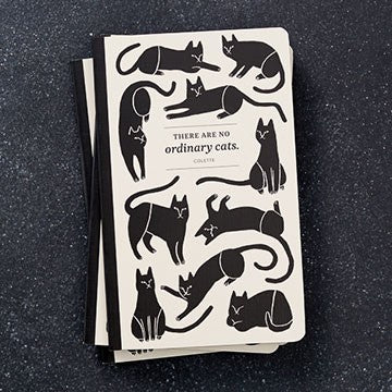 no ordinary cats write now journal