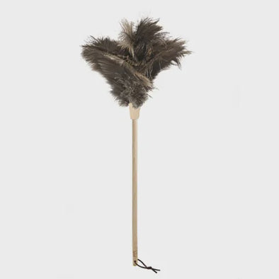 Tall feather duster Florence