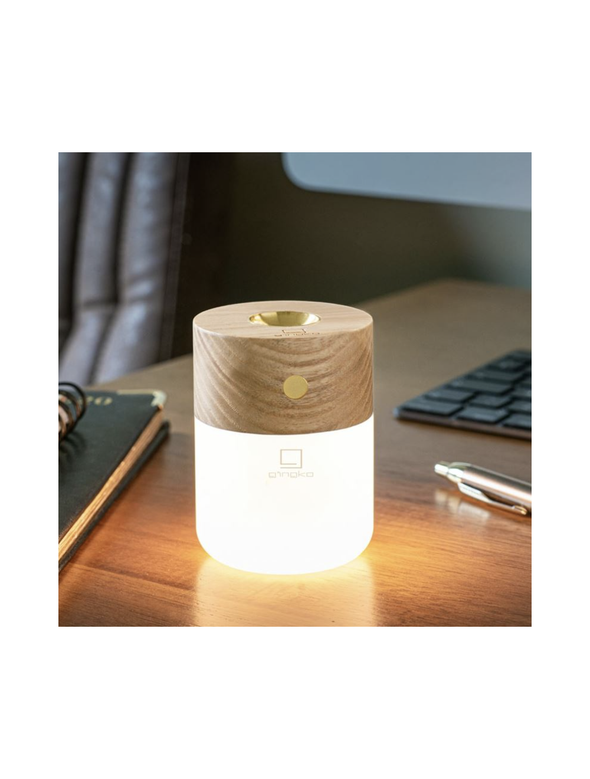 Smart diffuser lamp