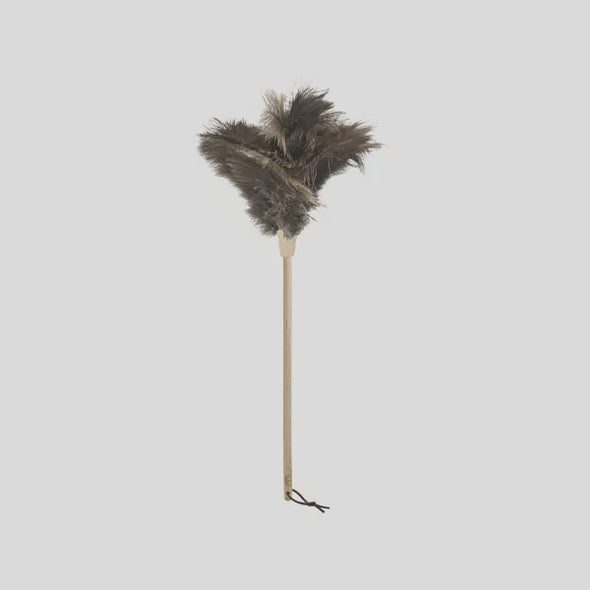 Medium length Ostrich feather duster