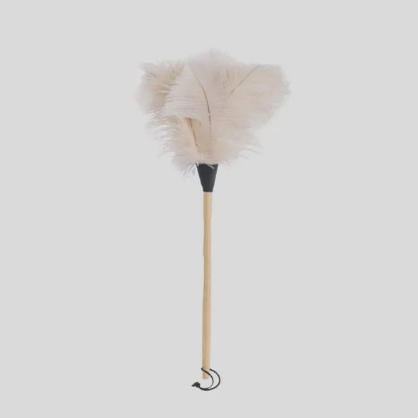 New white ostrich feather duster