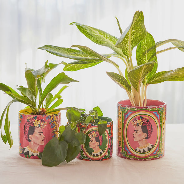 Viva La vida Pot planter set